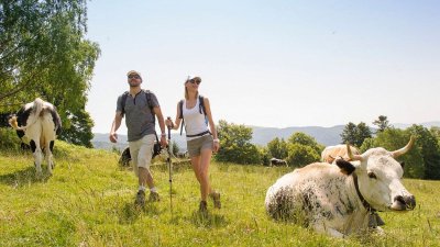 Traversée du massif du Grand Ballon par le GR5