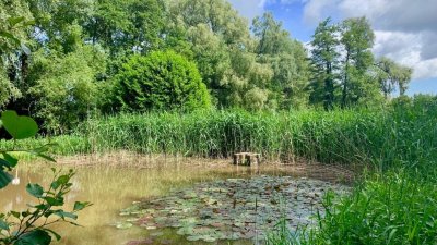 Marche santé Aspach - Michelbach - Roderen