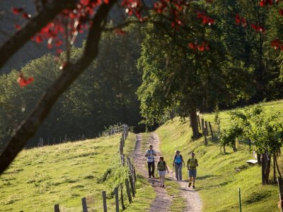 Sur les traces des Verriers