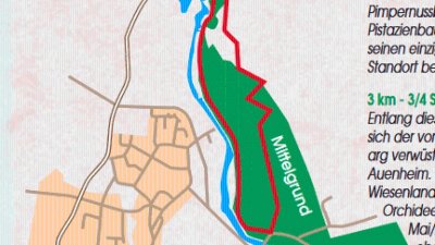 Circuit pédestre : le sentier botanique Mittelgrund