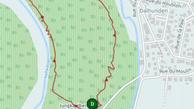 Circuit pédestre : le sentier de découverte du Hellwasser