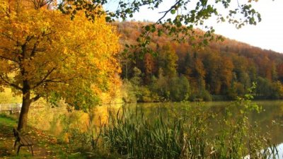 Randonnée pédestre: Lucelle  les vieilles fermes