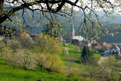 Circuit de découverte de Thannenkirch