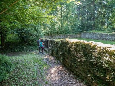 Circuit de randonnée : Balade familiale autour de l'ancien couvent du Schwartzenthann