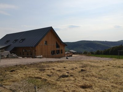 Balade ferme-auberge Uff-Rain : marcher à travers un océan de myrtilles