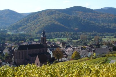 BL633 - Entre vins et fromages, vallée de Munster
