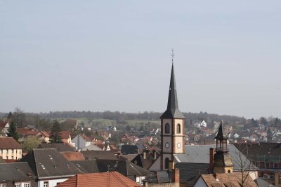 Promenade sur les hauteurs de Niederbronn-les-Bains