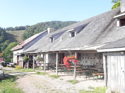 Balade ferme-auberge du Gsang : un paysage pastoral unique dans les Vosges du sud