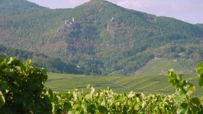 Circuit VTT raccourci : Les châteaux au départ de Ribeauvillé