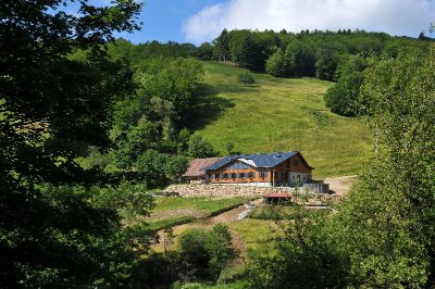 Balade ferme-auberge Lochberg : En compagnie des hêtres centenaires