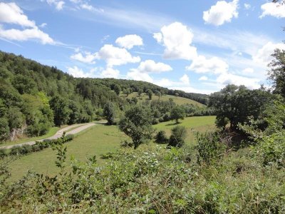 Marche à l’Étoile