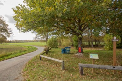 Circuit des autres chênes