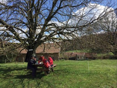 Le St Jacques de Compostelle