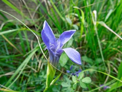 Sentier du Jardin des Marnes