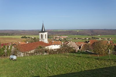 Sur les pas des 1er Comtes de Saulx