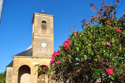 Le sentier de Chaillant
