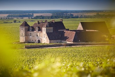 Autour du Clos de Vougeot