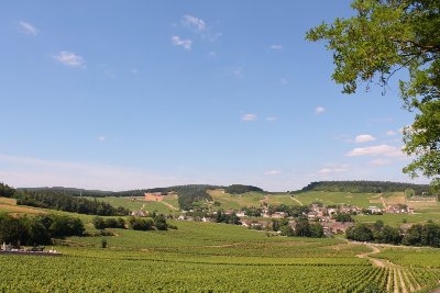 Sentier thématique de Mercurey