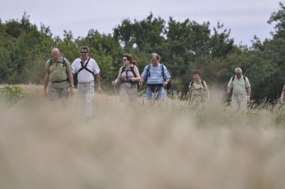 Circuit pédestre La Baume Noire