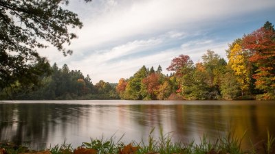 Contrefort du Charollais - DL02