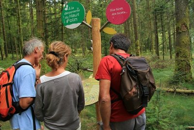 A la découverte du Haut Folin