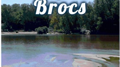 Les Sentiers de la Nature : Les Brocs