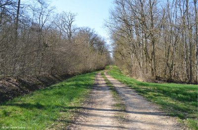 Circuit de la Source