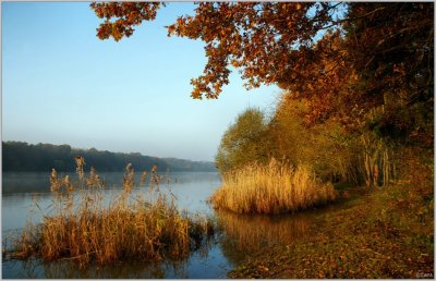 Circuit des trois étangs