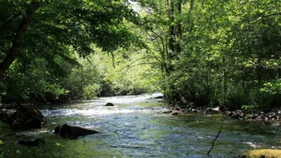 Circuit de randonnée : Boucle du pont de Saulieu