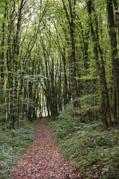 La boucle châtenaise