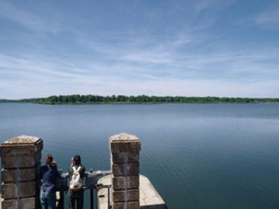 Balade famille : le sentier de la libellule à l'étang de Vaux