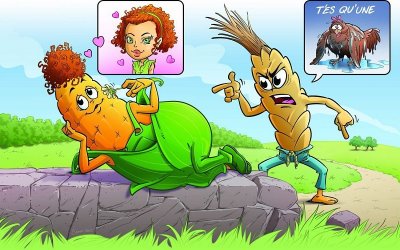 Un maïs au coeur d'artichaut