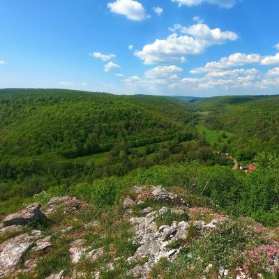 Boucle du Lézard Vert