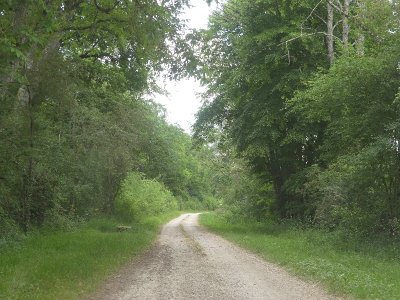 Circuit du Mont Remin