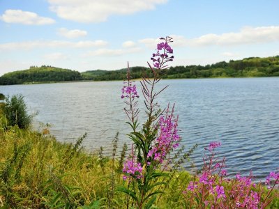 Tour du lac de Chamboux