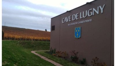 Le Chemin des Charmes