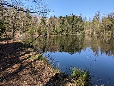 Le Sentier du Bois des Hauts