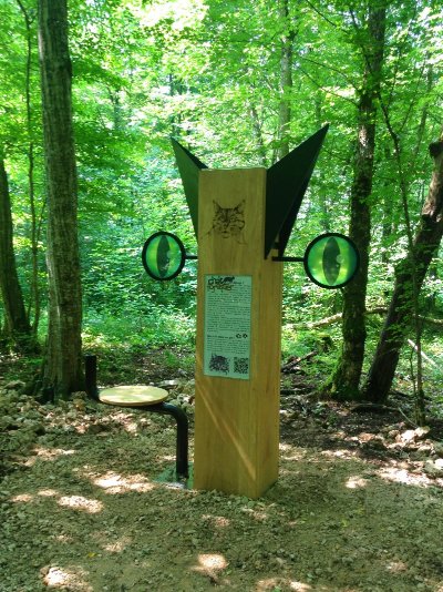 Massif forestier de Meine