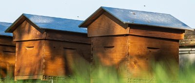 Entre Bois et Prairies
