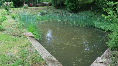 Sources, fontaines et lavoirs