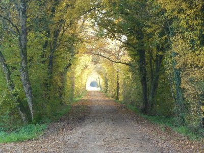 Le panoramique de la Vallée de la Saône