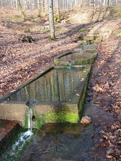 Circuit du Haut-Bois