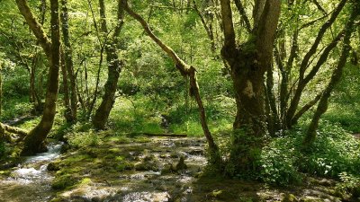 Sentier des Sources de l'Ignon