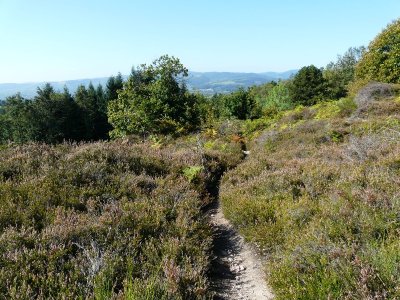 La Lande de Nancelle