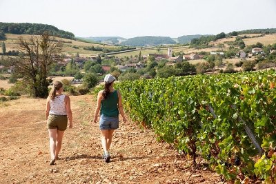 Belvédère de la Roche d'Aujoux