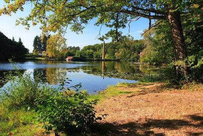 Découverte de la Forêt et du Pays de Tronçais par CAP Tronçais