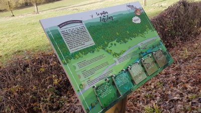 En forêt autour de Cessy-les-Bois