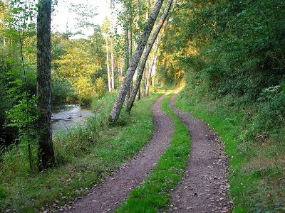 CIRCUIT VTT N°5 - LA VALLÉE DU MERDEREAU (BASE FFV LES PERLES)