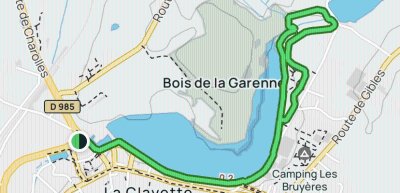 Flore et Faune en Bord de Lac