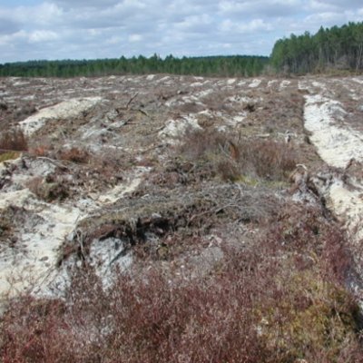 La Taillade, par les églises de Beyrac et Couthures